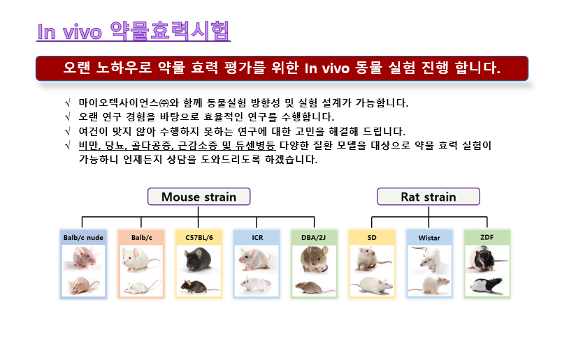 마이오텍 실험 워크플로우 안내